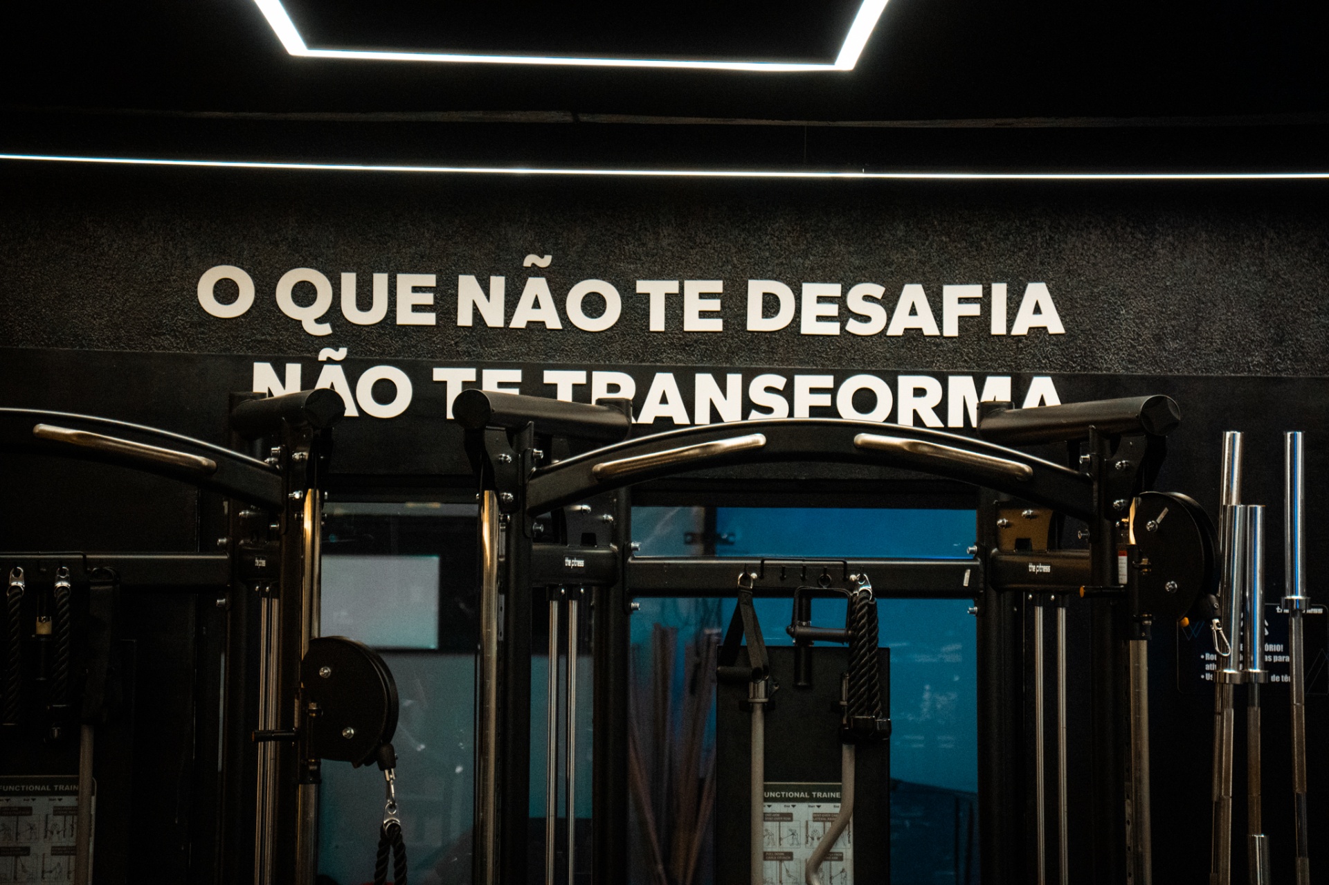 Manifesto The Fitness